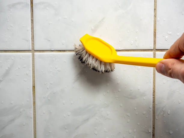 Best Localized Mold Remediation (e.g., coastal areas, humid climates) in , ID