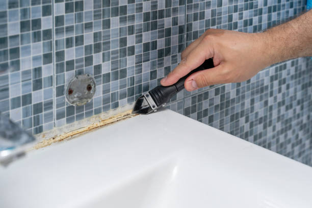 Best Industrial Mold Remediation in , ID